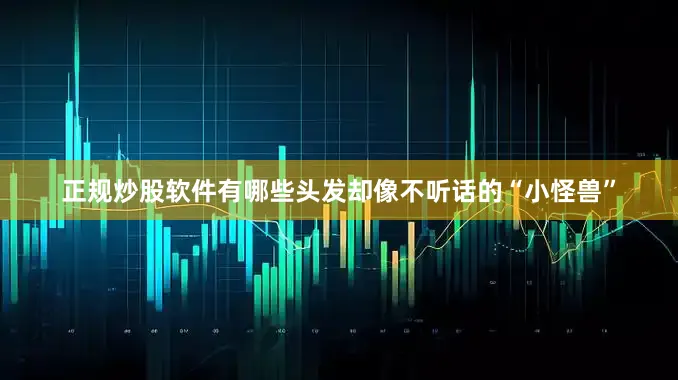 正规炒股软件有哪些头发却像不听话的“小怪兽”