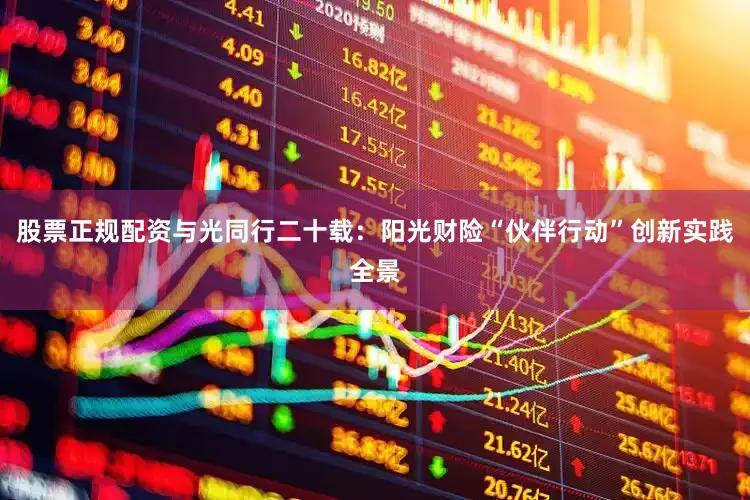 股票正规配资与光同行二十载：阳光财险“伙伴行动”创新实践全景